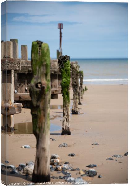 Worn Groynes North Norfolk  Canvas Print by Roger Worrall