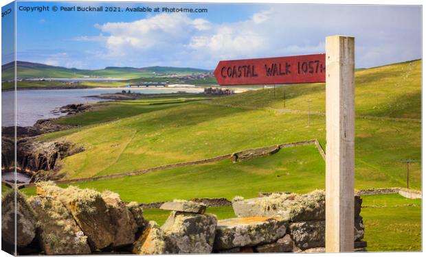 Coastal Path on Shetland Islands Scotland Canvas Print by Pearl Bucknall