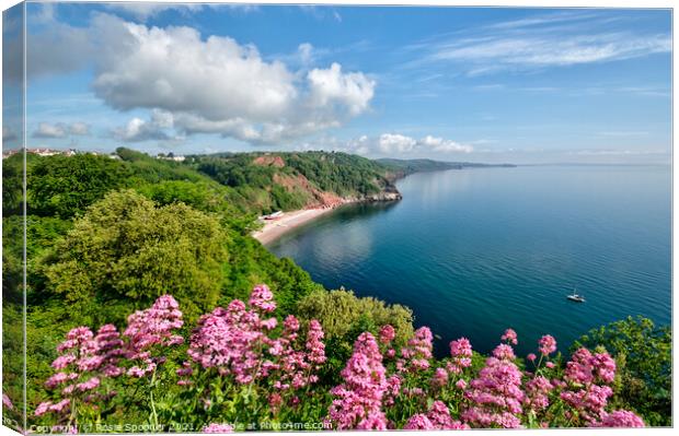 Oddicombe Beach view from Babbacombe Downs Canvas Print by Rosie Spooner