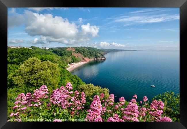 Oddicombe Beach view from Babbacombe Downs Framed Print by Rosie Spooner