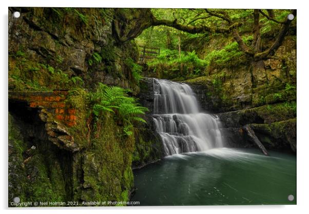 Dinas Rock Waterfall Acrylic by Neil Holman