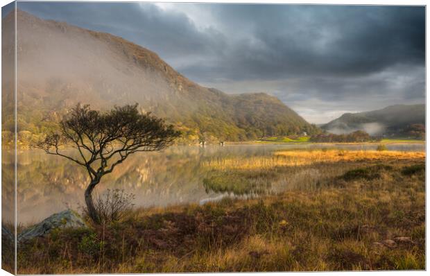 Llyn Dinas Canvas Print by Rory Trappe