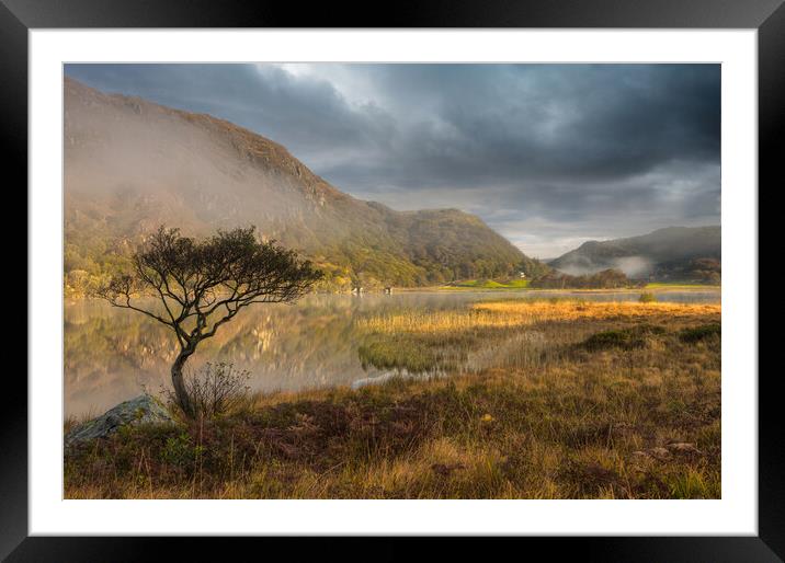 Llyn Dinas Framed Mounted Print by Rory Trappe