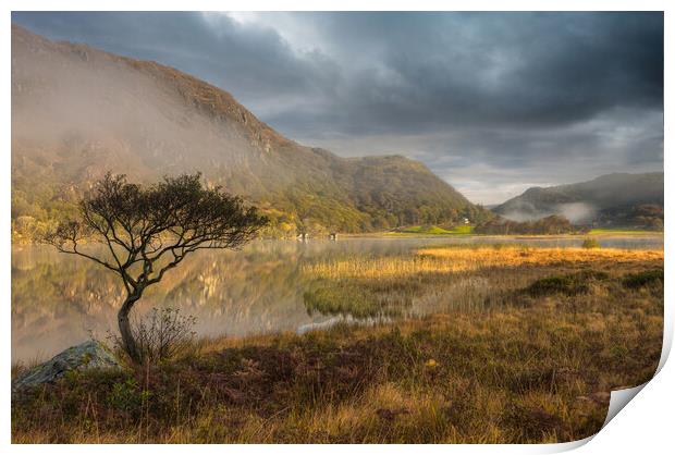 Llyn Dinas Print by Rory Trappe