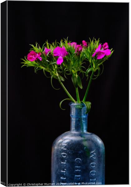 Spring flowers in medicine bottle  Canvas Print by Christopher Murratt