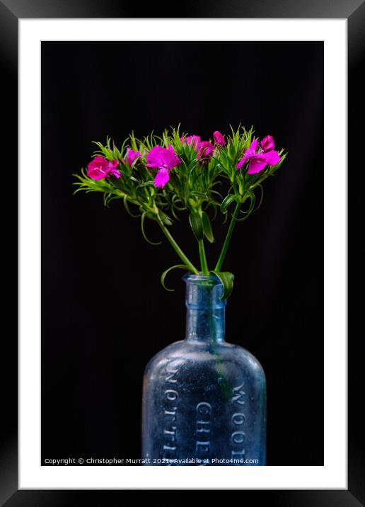 Spring flowers in medicine bottle  Framed Mounted Print by Christopher Murratt