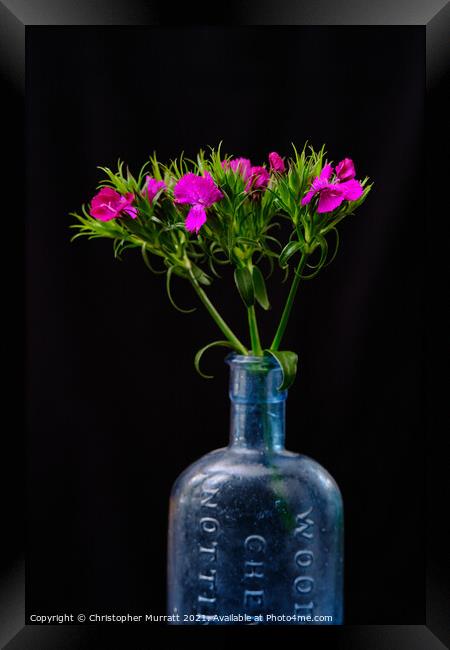 Spring flowers in medicine bottle  Framed Print by Christopher Murratt