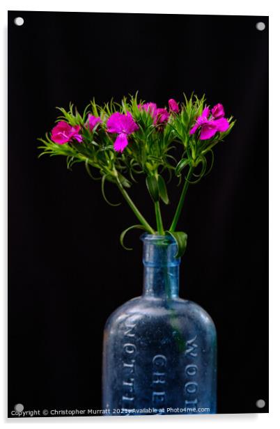 Spring flowers in medicine bottle  Acrylic by Christopher Murratt
