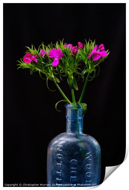Spring flowers in medicine bottle  Print by Christopher Murratt
