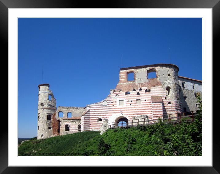 Janowiec Castle ruins, Poland Framed Mounted Print by Paulina Sator