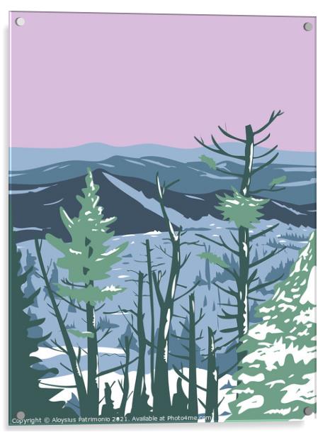 Great Smoky Mountains National Park during Winter in Tennessee and North Carolina United States WPA Poster Art  Acrylic by Aloysius Patrimonio
