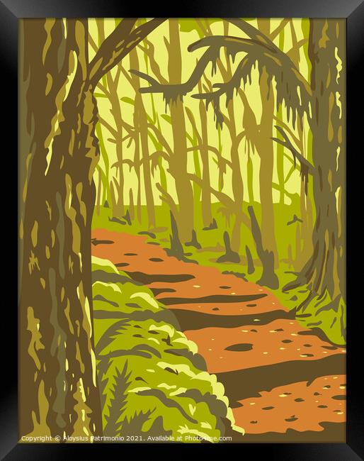 Hoh Rainforest in Olympic National Park Washington State United States WPA Poster Art  Framed Print by Aloysius Patrimonio