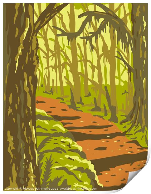 Hoh Rainforest in Olympic National Park Washington State United States WPA Poster Art  Print by Aloysius Patrimonio