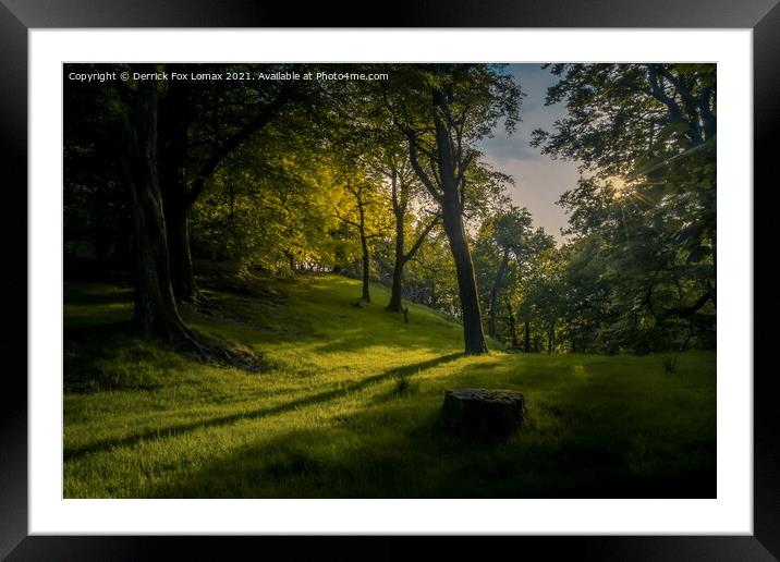 Forest of Bowland Framed Mounted Print by Derrick Fox Lomax