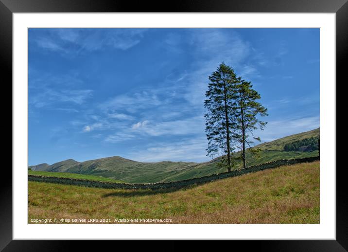 Lakeland Trees near Troutbeck Framed Mounted Print by Philip Baines