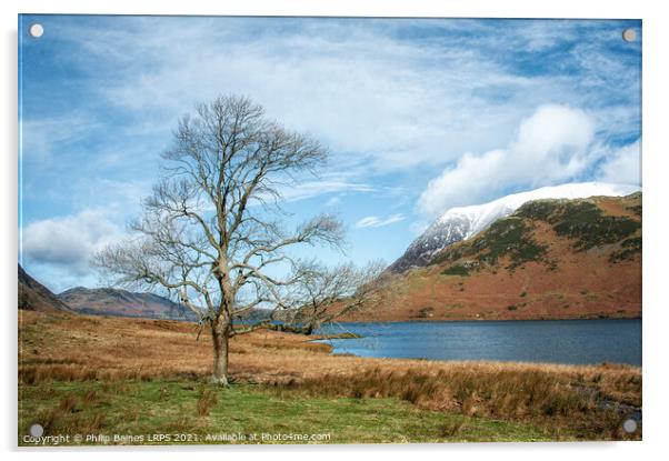 Crummock Water Acrylic by Philip Baines