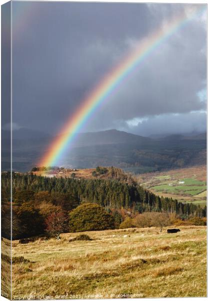 Rainbow over Hafodgwenllian. Snowdonia, Wales, UK. Canvas Print by Liam Grant