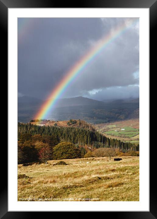 Rainbow over Hafodgwenllian. Snowdonia, Wales, UK. Framed Mounted Print by Liam Grant