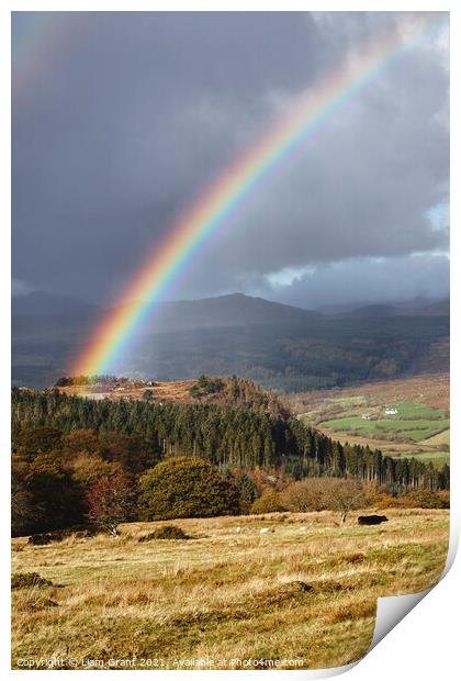 Rainbow over Hafodgwenllian. Snowdonia, Wales, UK. Print by Liam Grant