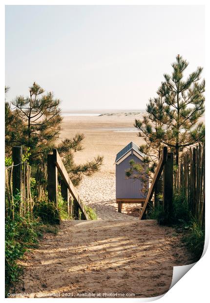 Beach hut and path to beach at sunrise. Wells-next-the-sea, Norf Print by Liam Grant