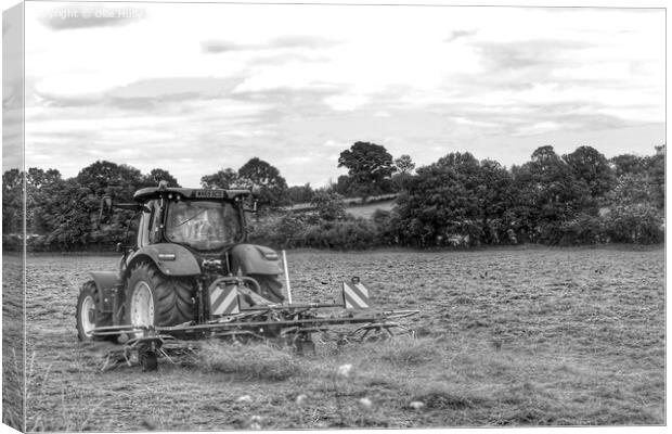 Black and white Tractor in a field  Canvas Print by Ollie Hully