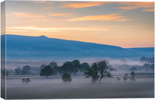 Hope Valley Trees at dawn Canvas Print by John Finney