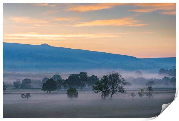Hope Valley Trees at dawn Print by John Finney