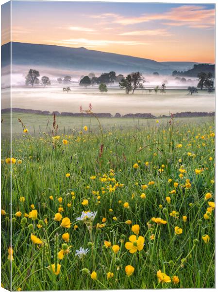 Meadows and Mist, Hope Valley Canvas Print by John Finney