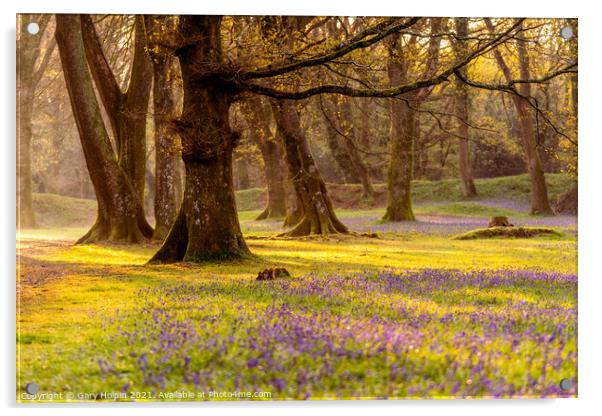 Sunrise in the bluebell woods Acrylic by Gary Holpin