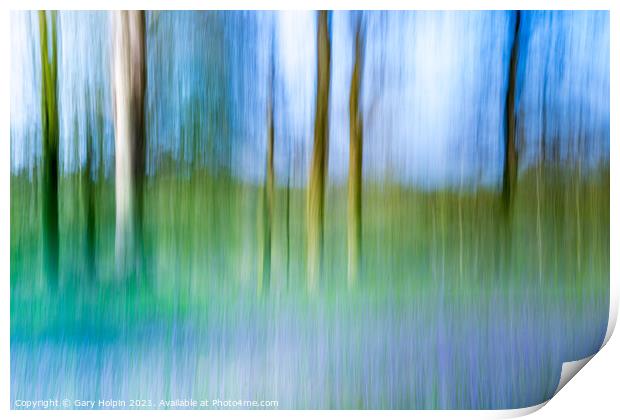 Bluebell wood abstract  Print by Gary Holpin