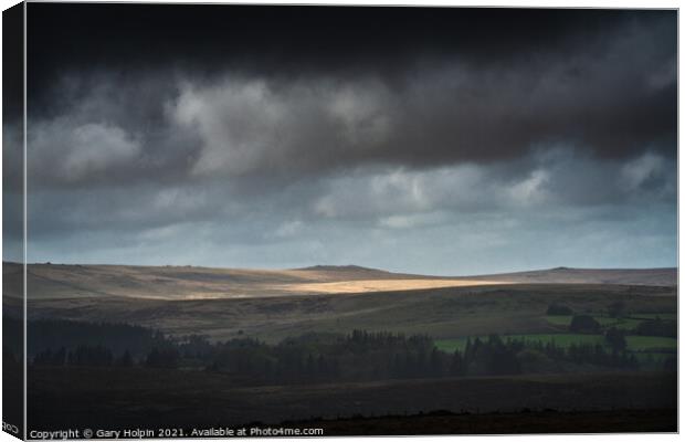 Stormy Dartmoor day Canvas Print by Gary Holpin