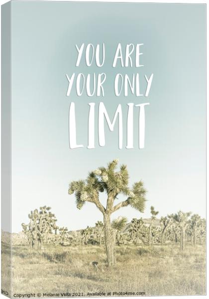 You are your only limit | Desert impression Canvas Print by Melanie Viola