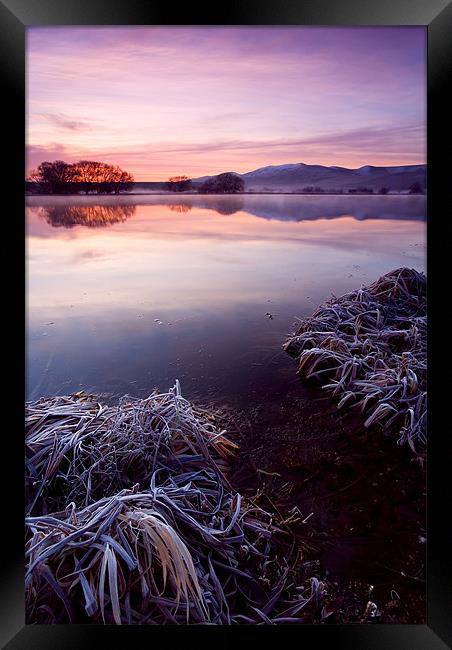 Frozen Pastels  Framed Print by Mike Dawson
