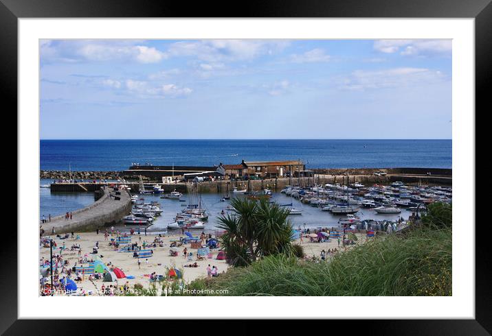 Lyme Regis Harbour  Framed Mounted Print by Les Schofield