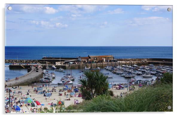 Lyme Regis Harbour  Acrylic by Les Schofield