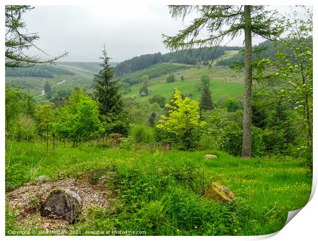 Brecon Beacons Print by Jane Metters