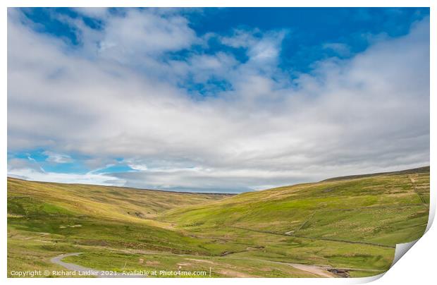 The Hudes Hope, Teesdale in Early Summer Print by Richard Laidler