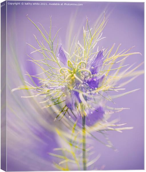 Love in a mist ,Lady in lavender Canvas Print by kathy white