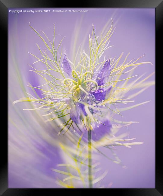 Love in a mist ,Lady in lavender Framed Print by kathy white
