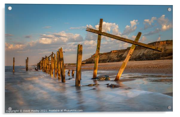 Evening Light on Happisburgh Beach Norfolk Acrylic by David Powley