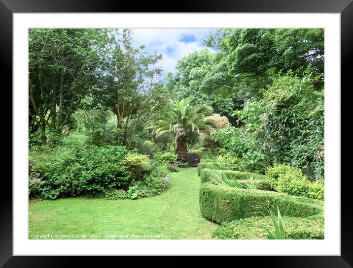 Lush Gardens of Tregenna Castle Framed Mounted Print by Beryl Curran