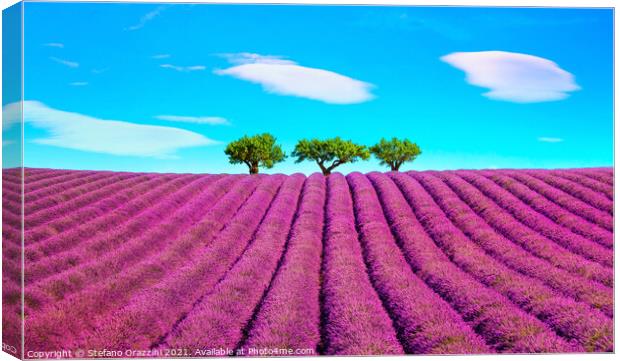 Lavender, Clouds and Trees Canvas Print by Stefano Orazzini