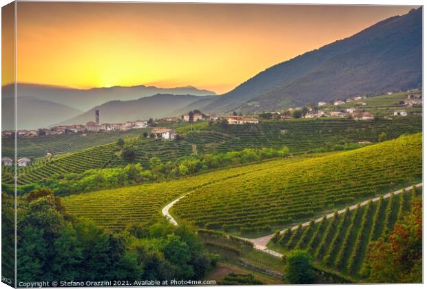 Vineyards after Sunset in Prosecco Hills Canvas Print by Stefano Orazzini