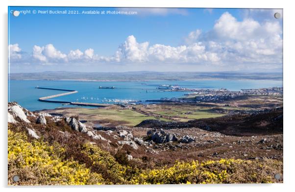 Holyhead Port from the Mountain Anglesey Wales Acrylic by Pearl Bucknall