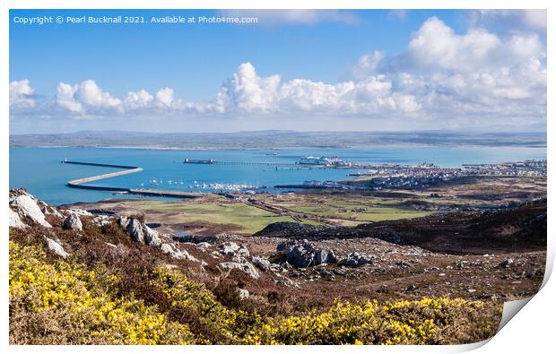 Holyhead Port from the Mountain Anglesey Wales Print by Pearl Bucknall