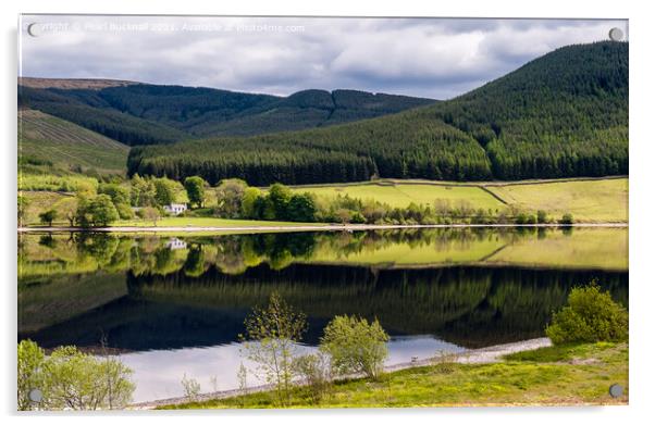 St Mary's Loch Scottish Borders Scotland Acrylic by Pearl Bucknall