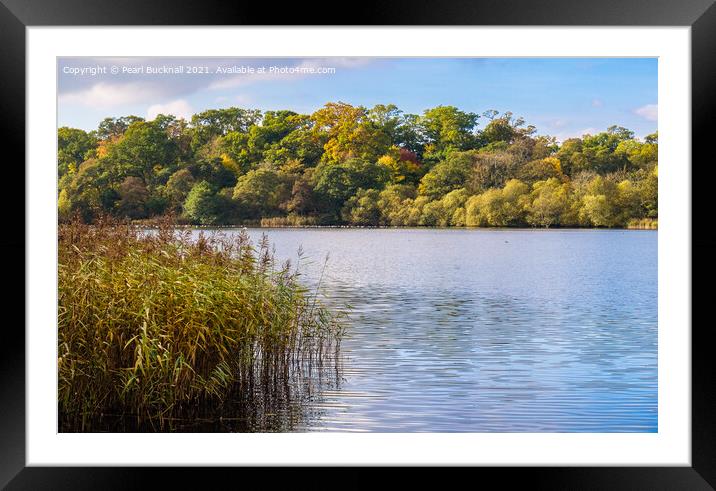 The Hirsel Lake Coldstream Scotland Framed Mounted Print by Pearl Bucknall