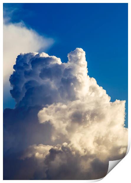 Cumulus cloud Print by Rory Hailes