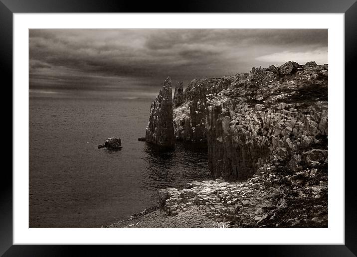 Isle of May Sea cliffs Framed Mounted Print by Malcolm Smith