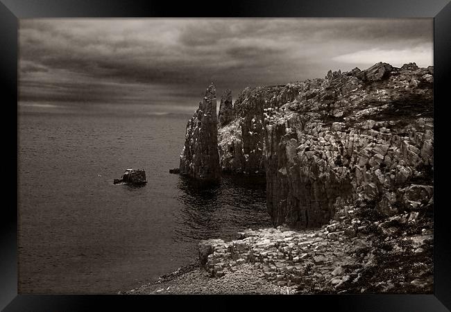 Isle of May Sea cliffs Framed Print by Malcolm Smith